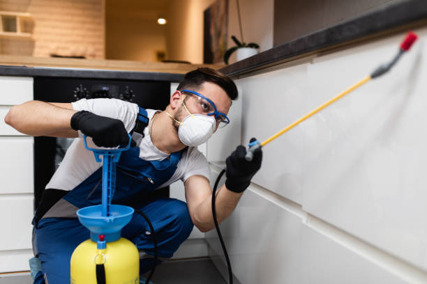Best Termite Control Services  in Inglewood, CA