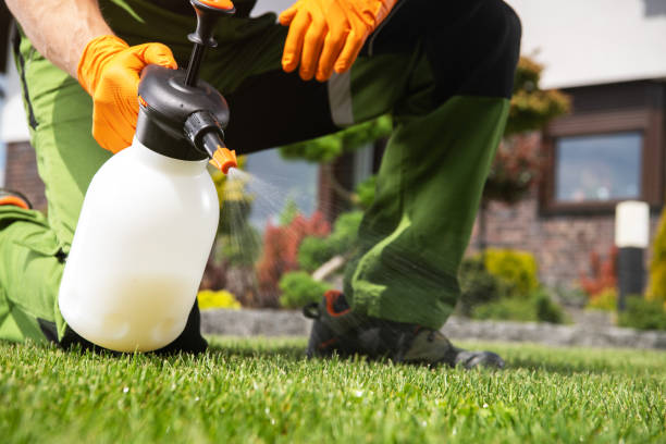 Best Best Pest Control Companies  in Inglewood, CA