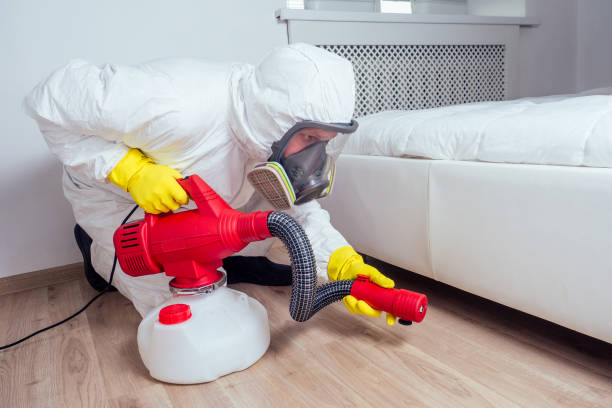 Flea Control Services in Inglewood, CA