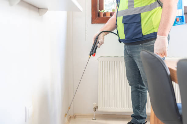 Wasp Removal Services in Inglewood, CA