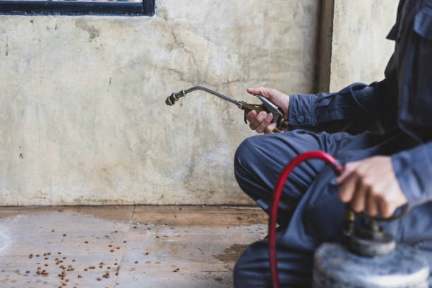Best Pest Control Near Me  in Inglewood, CA