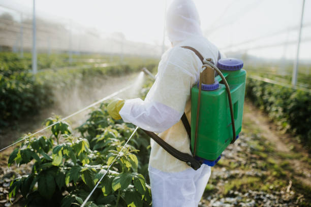 Best Exterminator Services  in Inglewood, CA